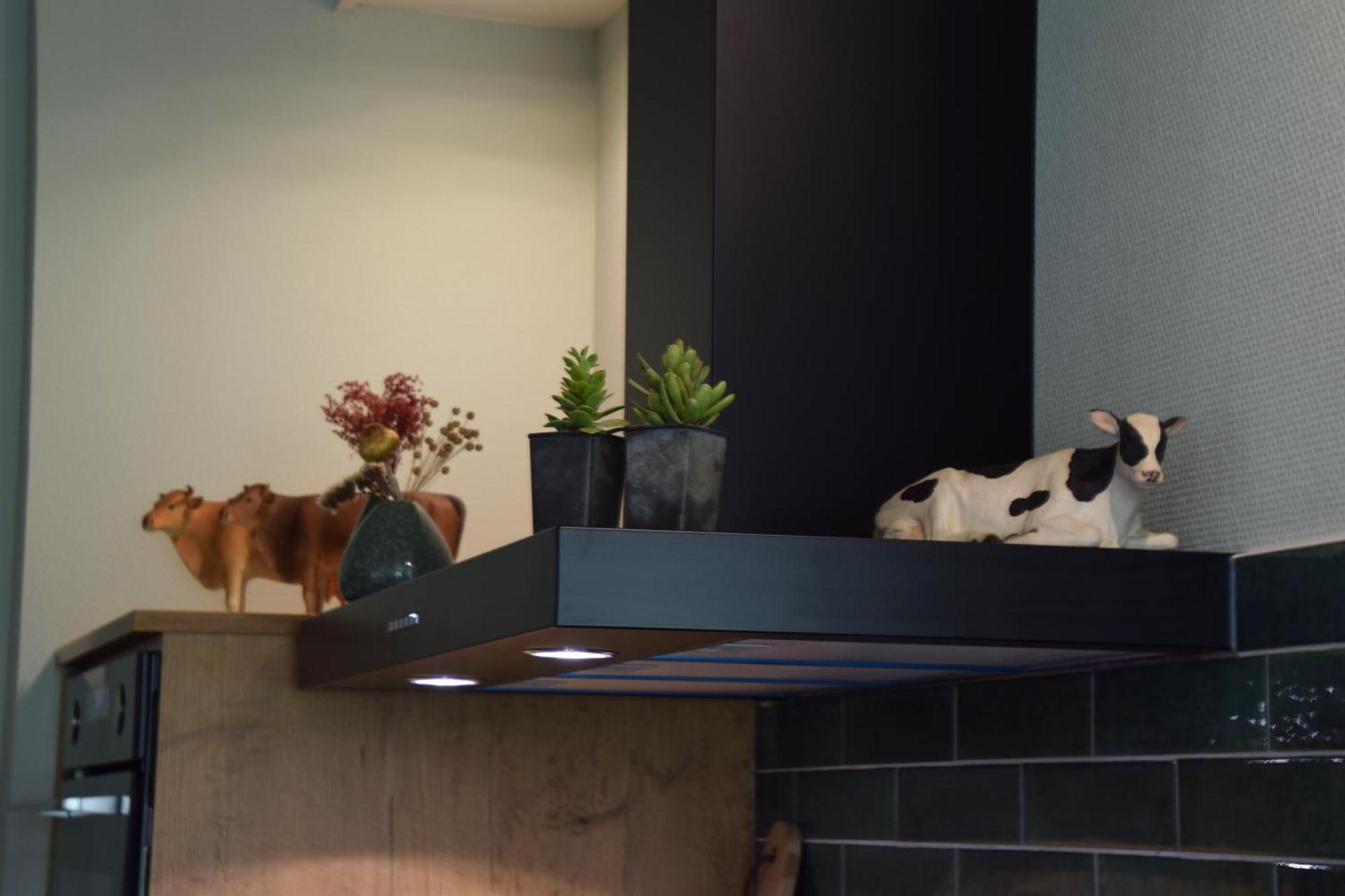 It Foarhus Apartment Earnewâld Екстериор снимка